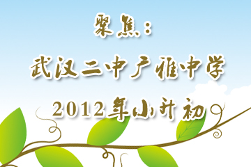 2012���й���С��������